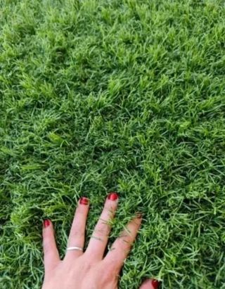 Césped artificial reciclado