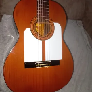 Guitarra Clásica palosanto