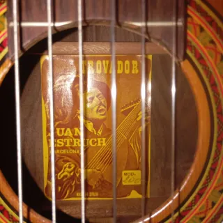 Guitarra Clásica palosanto