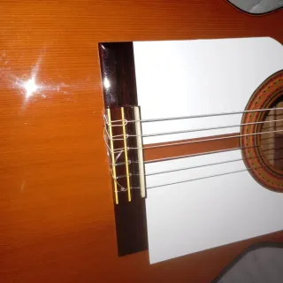 Guitarra Clásica palosanto