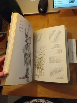 El mágico mundo de los duendes