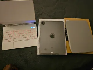 iPad Pro 11 2ª Gen Plata