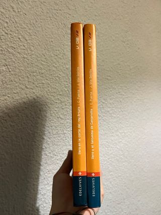 Lote 2 Libros Infantiles Verónik@_Click Vol. 2 y 3