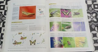 Biología y Geología 1ero ESO