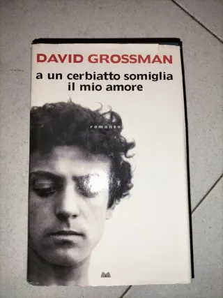 David Grossman-a un cerbiatto somiglia il mio amor