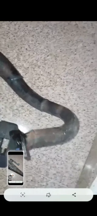 Pack Piaggio Motor Scooter