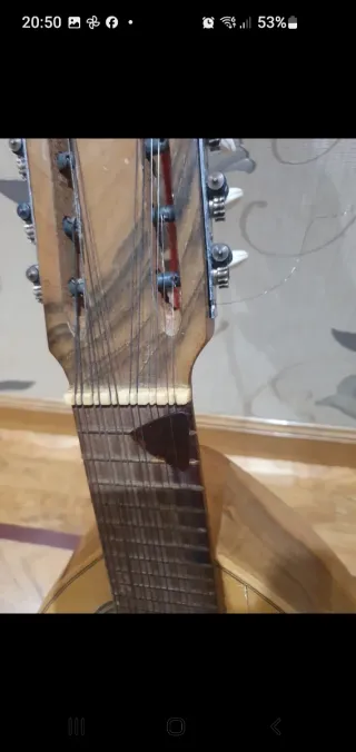 Bandurria Guillermo Lluquet