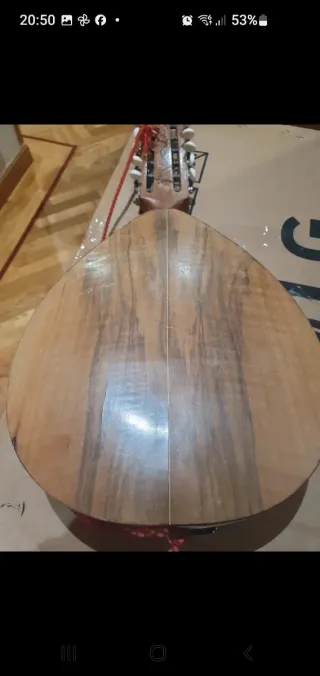 Bandurria Guillermo Lluquet