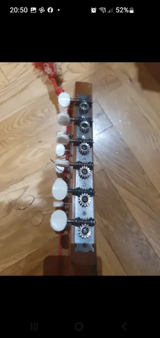 Bandurria Guillermo Lluquet