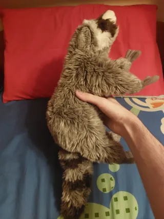 Procione peluche "Orsetto lavatore"
