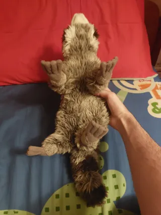 Procione peluche "Orsetto lavatore"