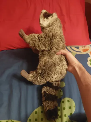Procione peluche "Orsetto lavatore"