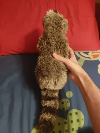 Procione peluche "Orsetto lavatore"