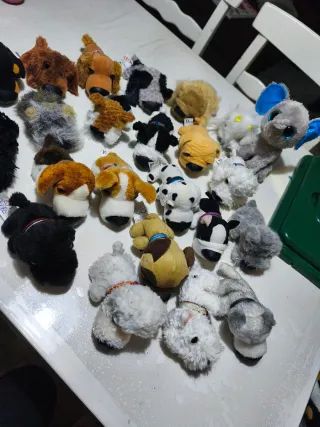 Colección Peluches The Dog