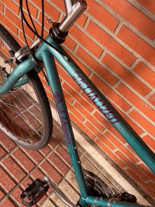 Bicicleta Specialized classica urbana / ibrida