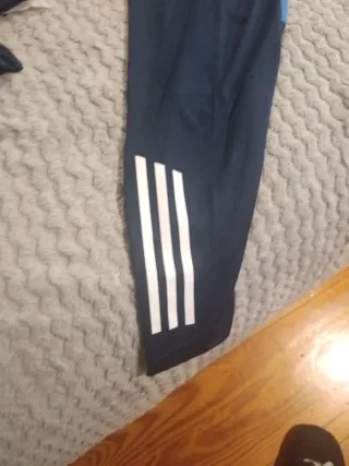 Chándal Real Madrid Adidas Azul