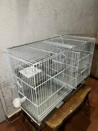 Jaula doble para pájaros