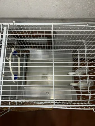 Jaula doble para pájaros