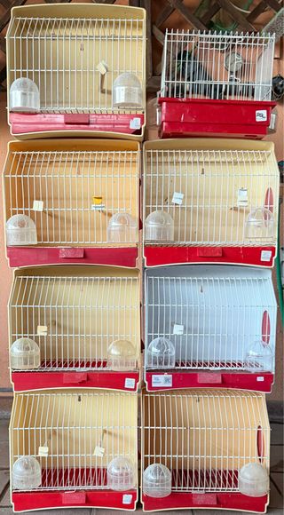 Jaulas para canarios, 10€ unidad o todas 50€...