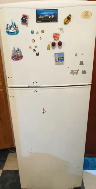 Nevera blanca segunda mano, ideal para un campo.