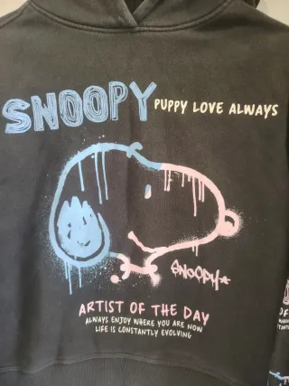 Sudadera Snoopy Artist of the Day