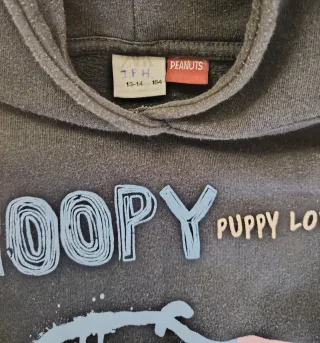 Sudadera Snoopy Artist of the Day