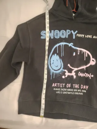 Sudadera Snoopy Artist of the Day