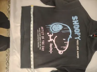 Sudadera Snoopy Artist of the Day