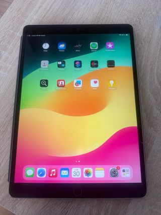 iPad Pro 10.5 256GB Plata