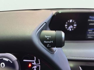Lexus UX LEXUS UX 2.0 250h Business Navigation