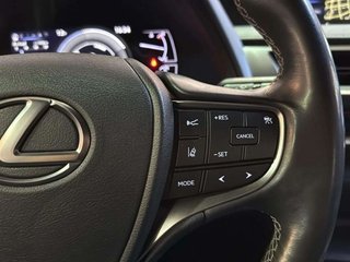 Lexus UX LEXUS UX 2.0 250h Business Navigation