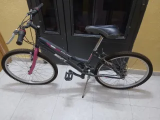 Bicicleta de montaña Evolution