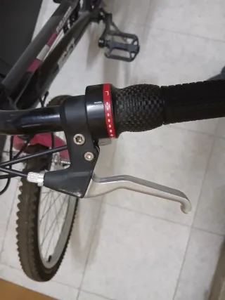 Bicicleta de montaña Evolution