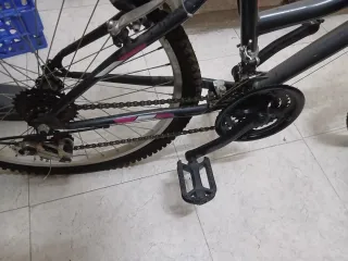 Bicicleta de montaña Evolution