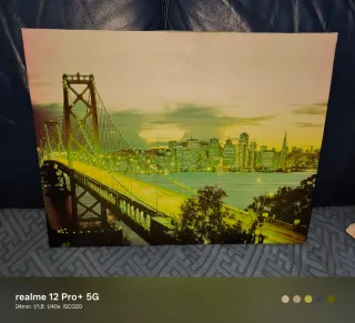 Quadro su tela ottime condizioni