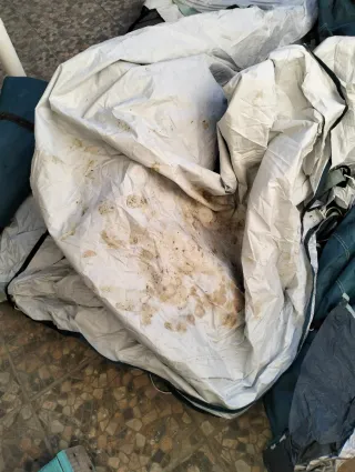 Tienda campaña Arpenaz Family 4.1 Fresh&Black