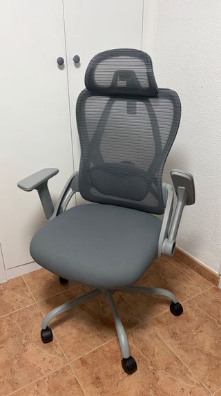 Silla ergonómica de escritorio/oficina gris