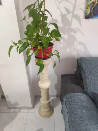 Columna de alabastro beige