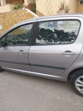 Peugeot 307 2004
