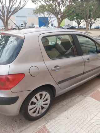 Peugeot 307 2004
