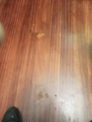 Limpieza de trastero y locales y modanza muy econó