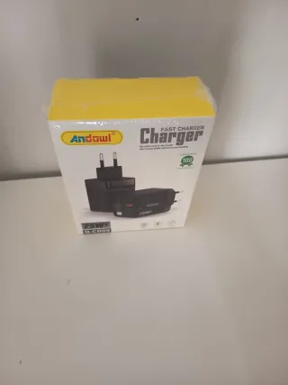 Caricatore Rapido Andowl 75W Q-CD09