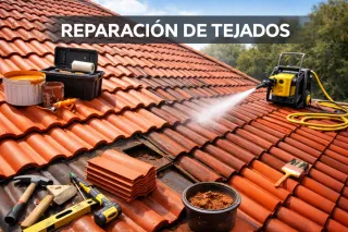 REPARACIÓN DE TEJADOS