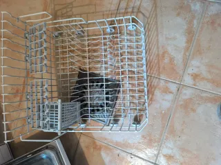 Lavavajillas portátil Balay