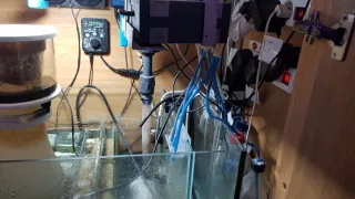 Acuario Marino 300L  totalmente Equipado