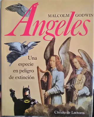 Libro Angeles