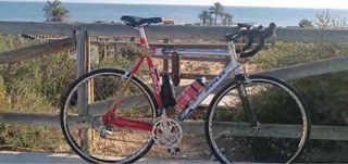 Bicicleta Zeus carretera