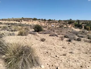 Se vende parcela con luz y agua en Crevillente