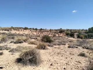 Se vende parcela con luz y agua en Crevillente