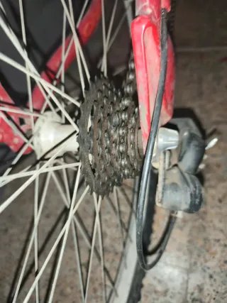 Bicicleta Orbea Infantil Roja